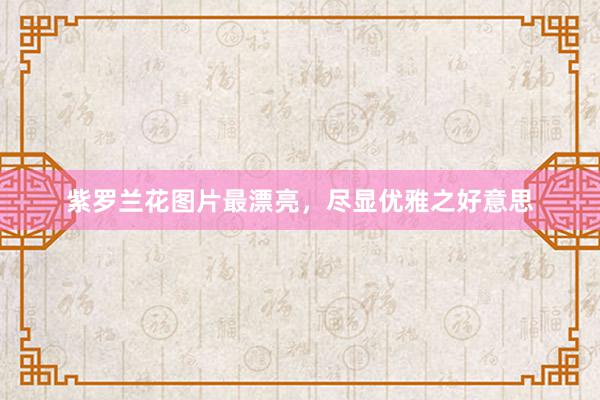 紫罗兰花图片最漂亮，尽显优雅之好意思
