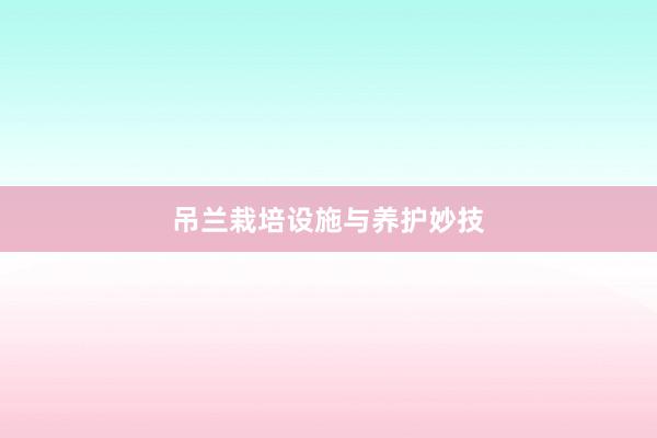 吊兰栽培设施与养护妙技